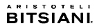 Bitsiani logo