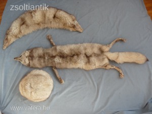 szép régi sarki róka szőr kucsma gallér 3 darabos készlet igazi szőr kepp << lejárt 1512781 29 fotója