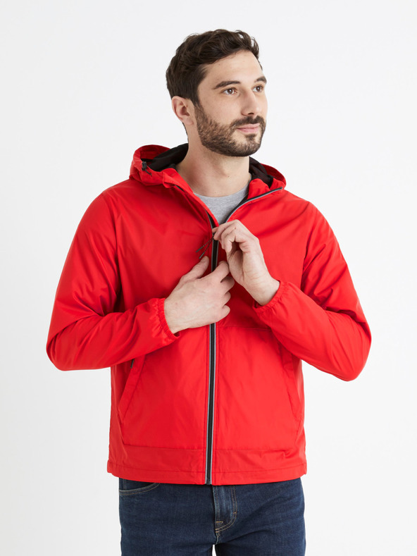 Celio Buwindy Dzseki Piros << lejárt 9785704 92 fotója
