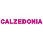 Calzedonia - Westend logo